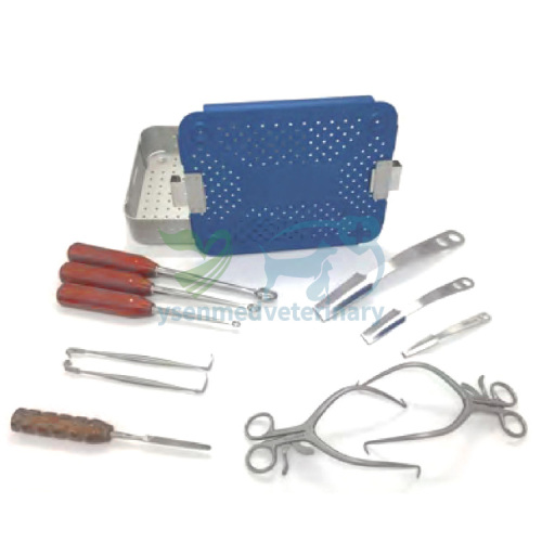 Instrumentos de artroplastia por escisión de cabeza/cuello femoral para Hospital de animales, conjunto de instrumentos quirúrgicos generales YSVET-FH01