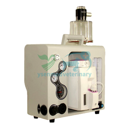 Portable Animal Anesthesia Machine YSAV600PV