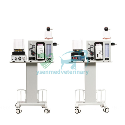 Portable Animal Anesthesia Machine YSAV600PV