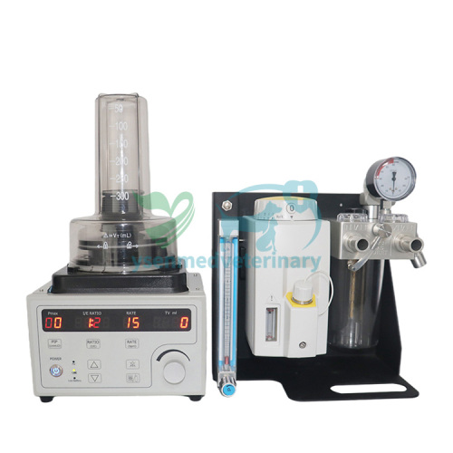 Vet Anaesthesia Machine YSAV120V5