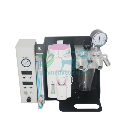 Máquina de anestesia veterinaria YSAV120V3