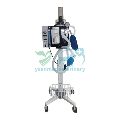 Máquina de anestesia veterinaria YSAV120V3