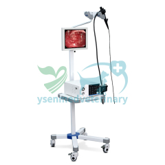 High Definition Veterinary Video Endoscope System YSENDO150V