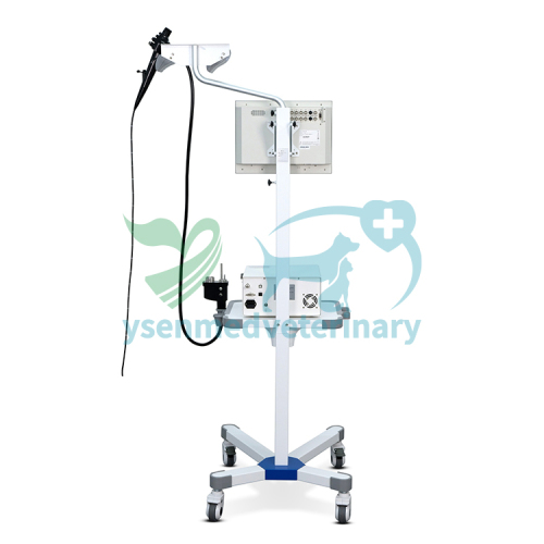 High Definition Veterinary Video Endoscope System YSENDO150V