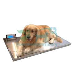 Vet Medical Equipment Veterinary weighing scale YSVET-TZC150