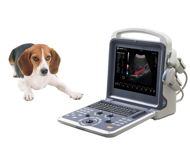 New Vet Portable Color Doppler Ultrasound YSB-K2000V Put On Market