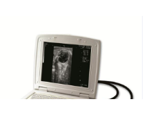 YSENMED Vet Laptop Ultrasound Scanner for Netherlands Vet Clinic