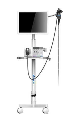 Nueva endoscopia para animales domésticos y de granja