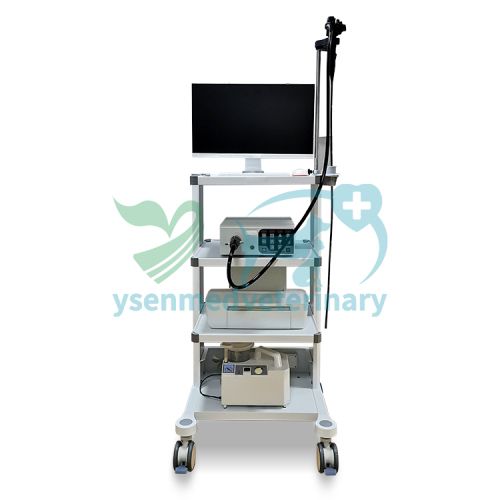 Sistema de videoendoscopio veterinario YSNJ-100VET
