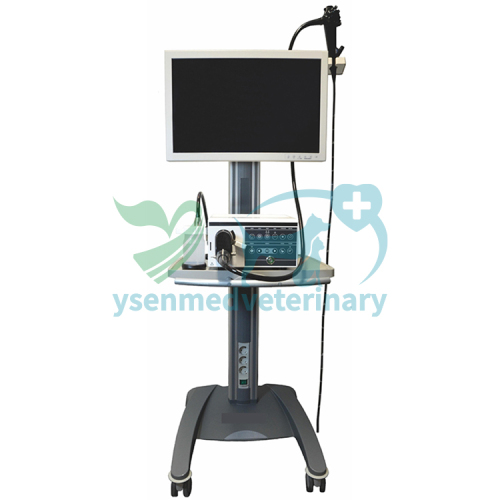 Integrated 1.5m Veterinary Video Endoscope YSNJ-150VET-P
