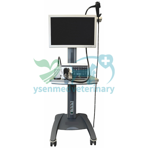 YSNJ-330VET Veterinary Video Endoscopy System