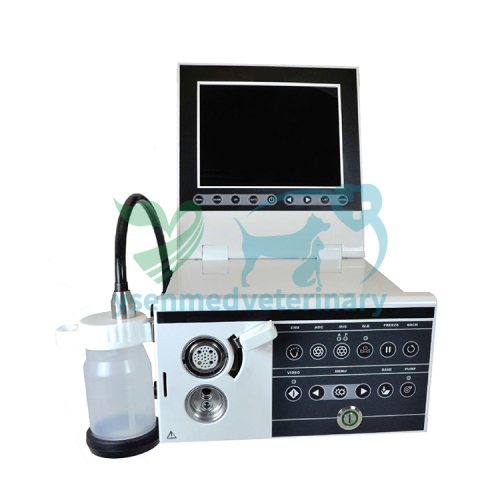 Integrated 1.5m Veterinary Video Endoscope YSNJ-150VET-P