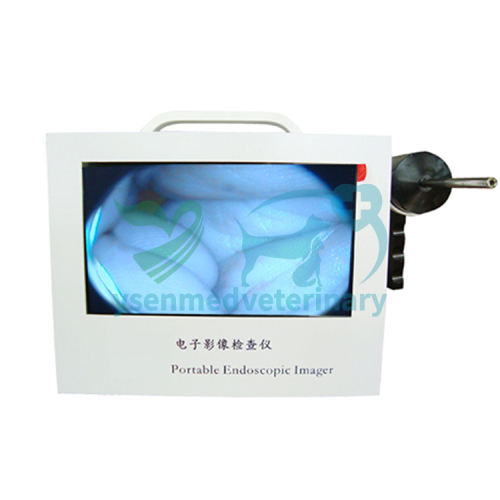 Veterinary video otoscope YSVET-500EJ