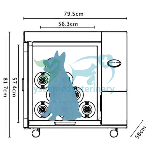 Veterinary Medical Veterinary Dry Cabinet Pet Grooming Equipment Hair Drying Cabinet YSVET-GZ-U2