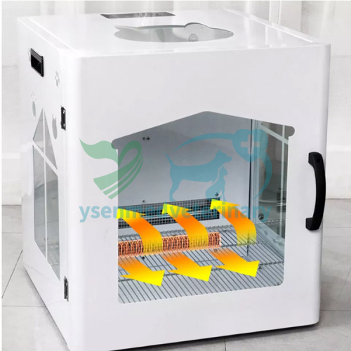 Veterinary Pet Hair Drying Cabinet YSVET-CW06