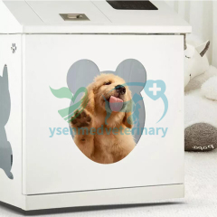 Veterinary Pet Hair Drying Cabinet YSVET-CW14