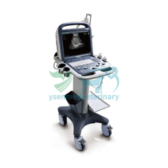 Portable Ultrasound Scanner SonoScape S2BW