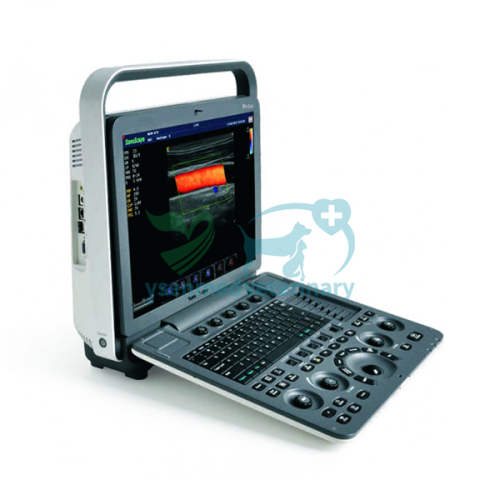 Portable Color Doppler Ultrasound S8Exp