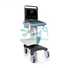 Portable Color Doppler Ultrasound S8Exp