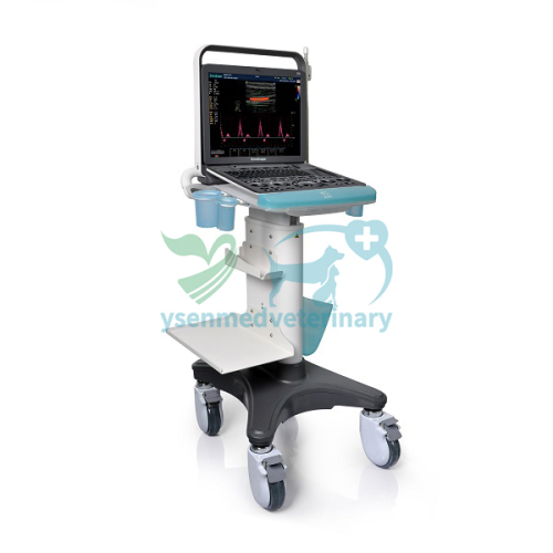 Portable Color Doppler Ultrasound S8Exp