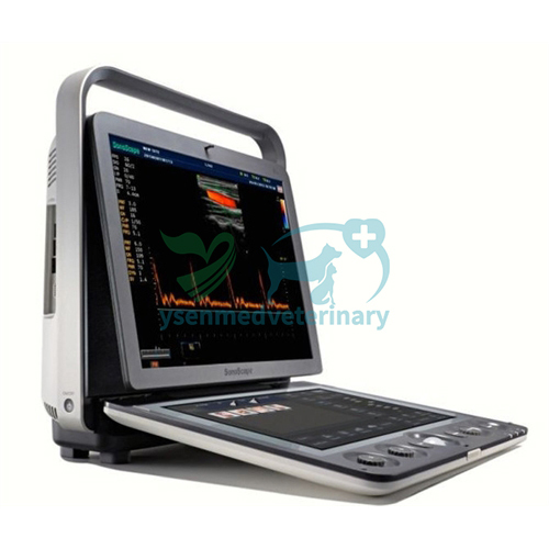 Portable color doppler ultrasound sonoscape S9 Pro