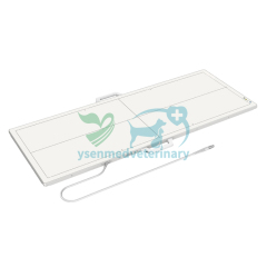 YSENMED Veterinary 5kW Mobile Digital C-arm X-ray System