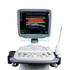Trolley color doppler ultrasound sonoscape S11