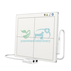 YSENMED Veterinary 5kW Système de radiographie numérique mobile à bras en C