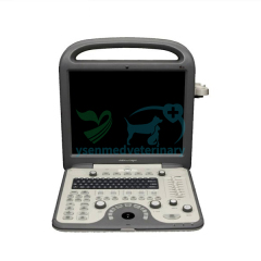 Portable Color Doppler Ultrasound S8V
