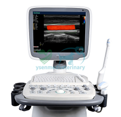 Sonoscape S11V Trolley Mobile Ultrasound Sonoscape 4D Veterinary Color Doppler Ultrasound