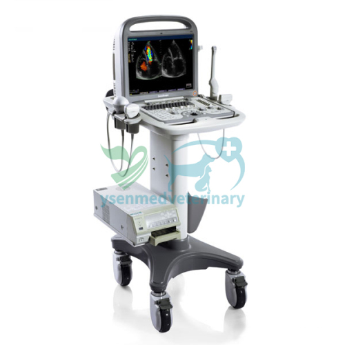 Portable Color Doppler Ultrasound S8V
