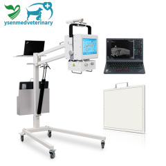 Touch Screen 5kW Portable Mobile Animal Digital X-Ray Machine YSX050-C