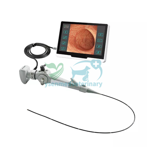 YSVET-EC150H 1500mm with 10.1 inch touch screen portable horse video endoscope