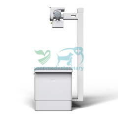 YSX-VET200 High Frequency Pet Digital X-Ray