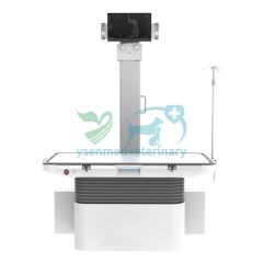 32kW Veterinary Digital Dynamic Radiography and Fluoroscopy X-ray System YSX-DRF32V