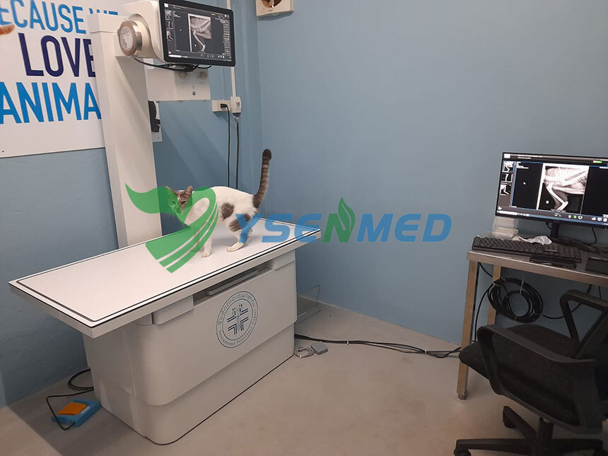 YSENMED Veterinary DR YSDR-VET320 installation completed in Laos