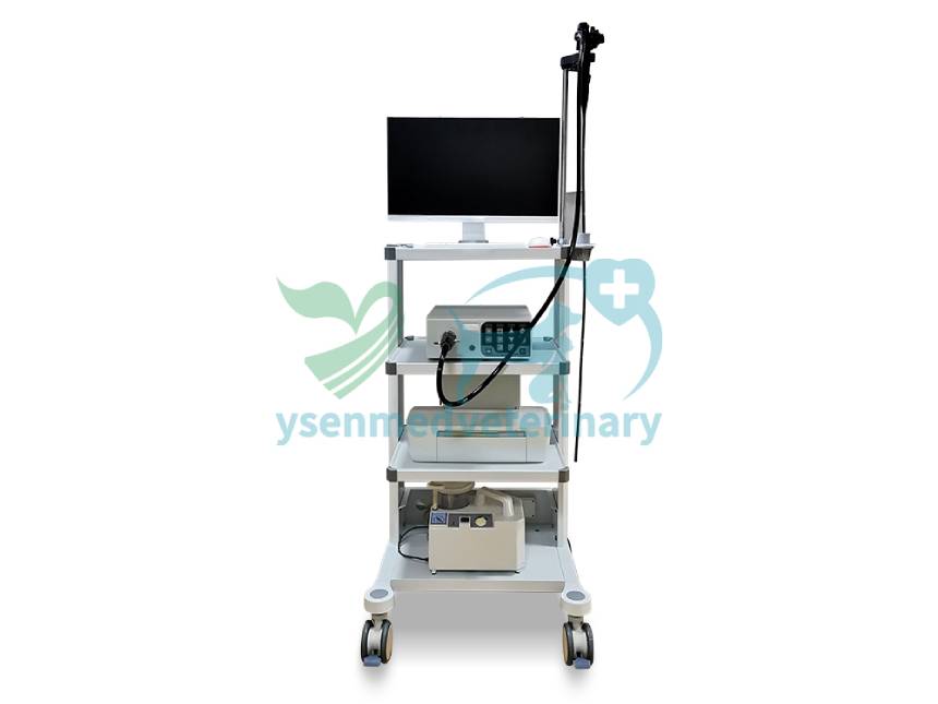Use of YSENMED YSNJ-100VET Veterinary Video Endoscope