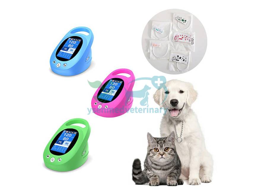 Elevating Veterinary Care: The Significance of Digital Animal Veterinary Blood Pressure Monitors