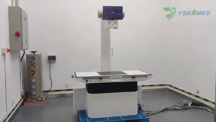 Demostrar varios posicionamientos de radiografía y fluoroscopia del sistema DR dinámico veterinario YSENMED YSX-DRF32V