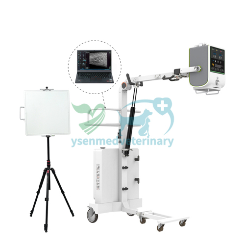 Veterinary Xray Machine，price, model, parameter and functionysenmedveterinary