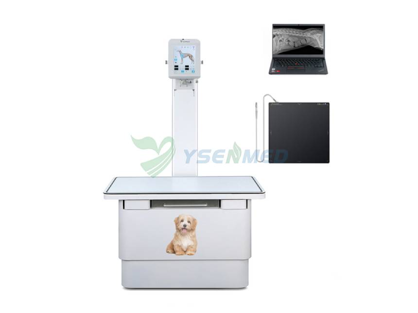 Imágenes de rayos X mediante YSX056-PL con detector de panel plano YSFPD-V1717X VET