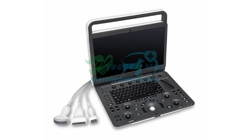 A Vet Clinic's Best Friend: The Magic of Animal Ultrasound Devices