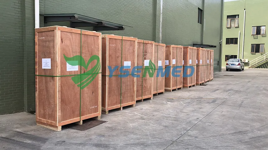 YSENMED pet modular cages YSVET1220C for a vet clinc in Singapore