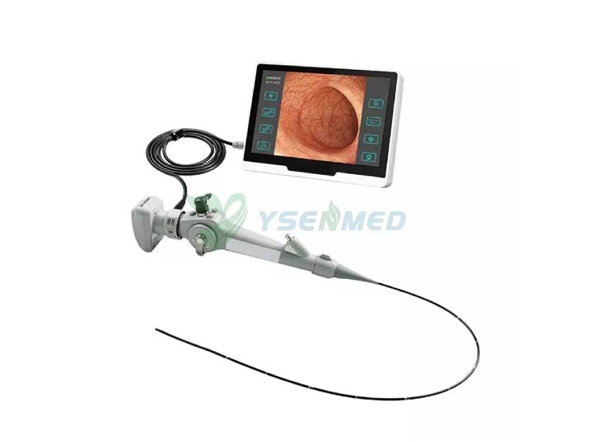 The gastroscope inspection for a cat with Ysenmed YSVET-EC120 Veterinary Video Endoscope