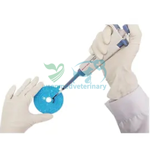 YSTE-P5V Fully Automatic Dry Biochemical Analyzer Instrument For Animal