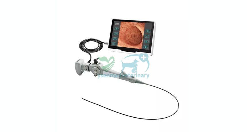 The Eyes Inside: Portable Horse Video Endoscopes and Veterinary Diagnostics