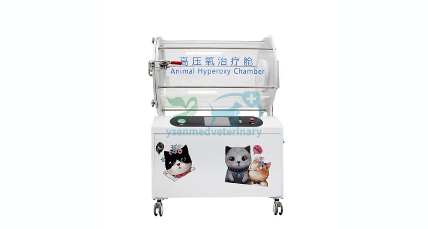 Every Breath Counts: Veterinary Animal Hyperoxy Chambers and Critical Care