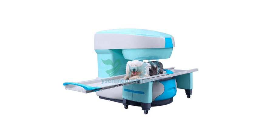 Picturing Pet Health: The Vital Role of 0.35T Veterinary MRI in Animal Diagnosis
