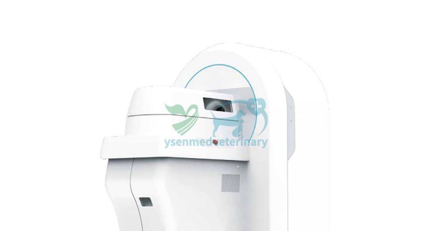 Safeguarding Our Furry Friends: The Power of Animal Disease Scanning CT Equipment