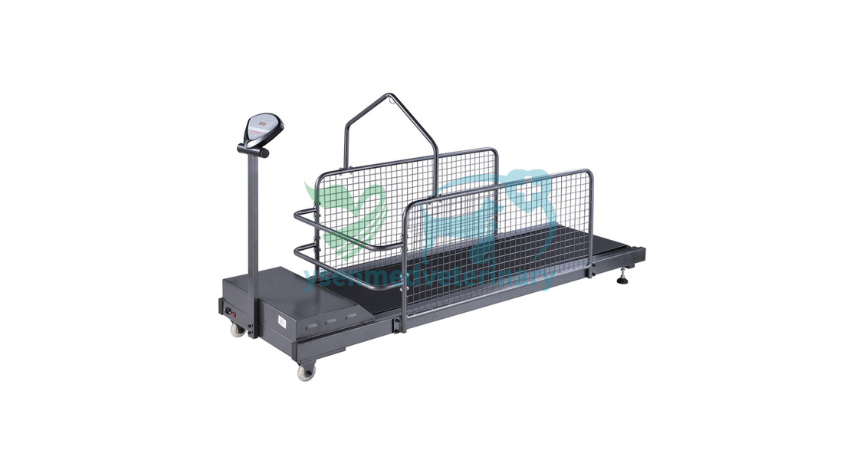 Stroll to Health: The Medical Pet Treadmill Machine's Role in Canine Cardio Fitness